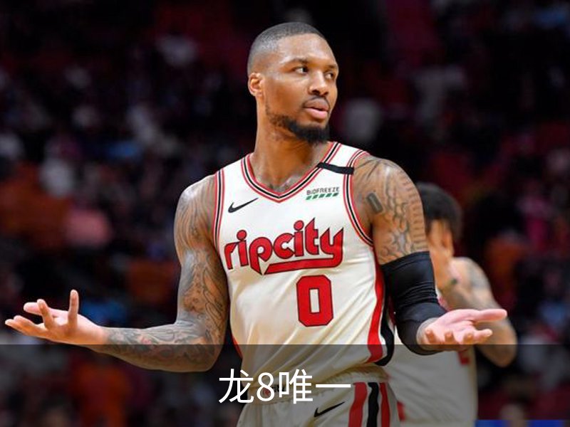了解龙8唯一